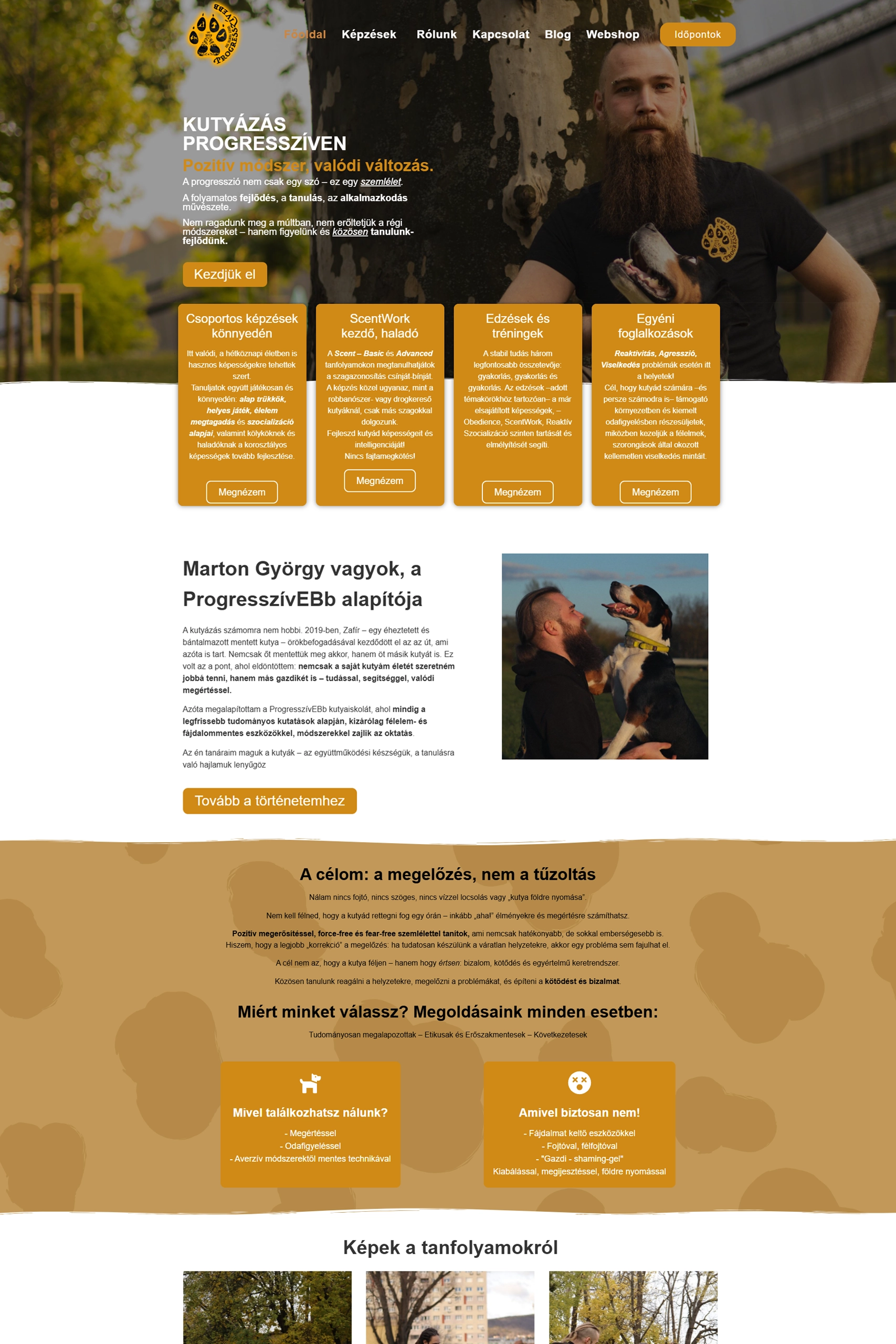 ProgresszívEB weboldal referencia