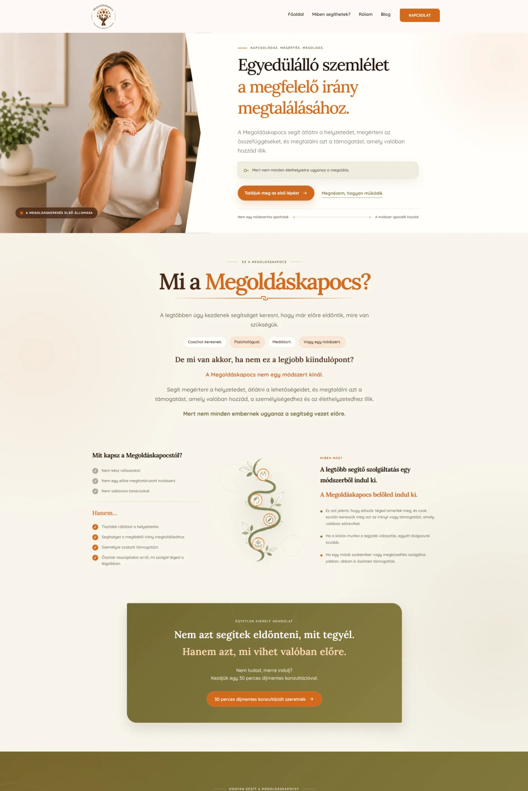 A Megoldáskapocs egyedi, bizalomépítő szolgáltatói weboldala